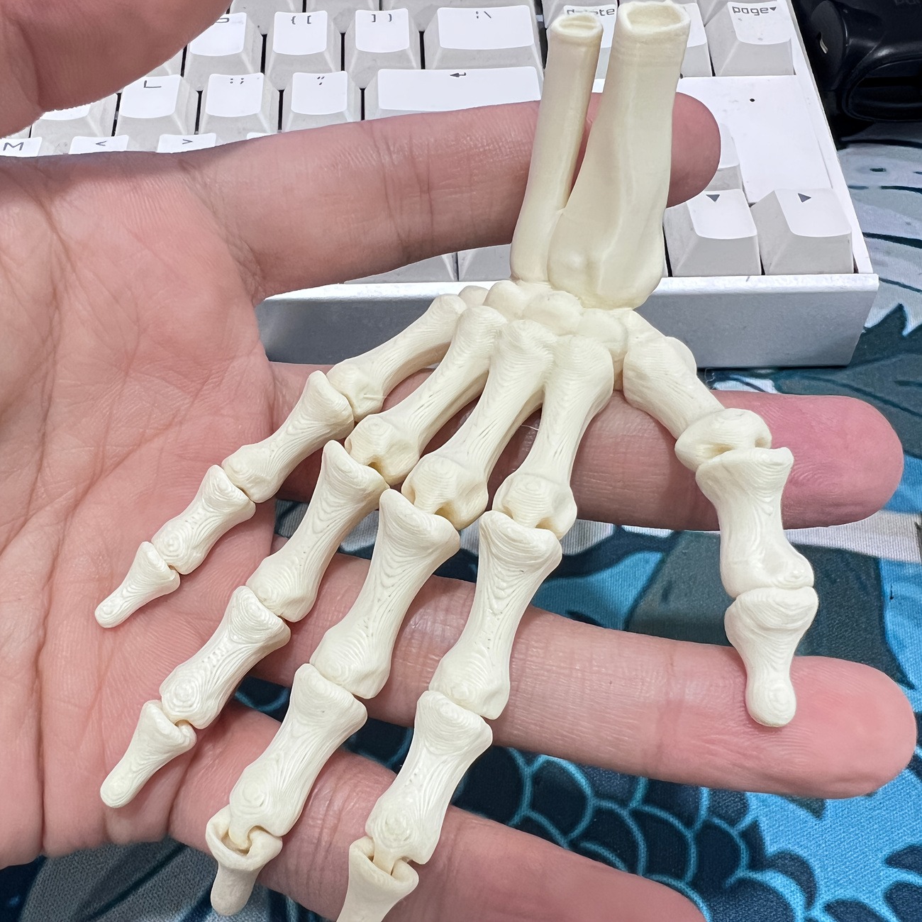 2-Piece 3D Printed Skeleton Hand Figurines