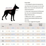 7-Size dog raincoat hooded cape, 1 unit - Image 4