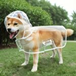 Transparent dog rain coat, 1 unit - Image 15