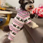 Pet Christmas reindeer graphic pajamas hooded jumpsuit for puppy, 1 unit - Image 10