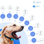 Smart automatic anti-bark dog training collar, 1 unit - Image 5