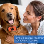 Smart automatic anti-bark dog training collar, 1 unit - Image 11