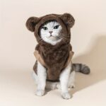 Teddy bear design pet plush hoodie for small cats and dogs, 1 unit - Image 2