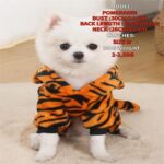 Dog clothes autumn and winter style dog apparel, 1 unit - Image 10
