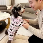 Pet Christmas reindeer graphic pajamas hooded jumpsuit for puppy, 1 unit