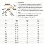 Transparent dog rain coat, 1 unit - Image 3