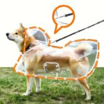 Transparent dog rain coat, 1 unit - Image 6