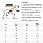 Light luxury pet dog pajamas, 1 unit - Image 3
