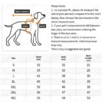 Pet Christmas reindeer graphic pajamas hooded jumpsuit for puppy, 1 unit - Image 3