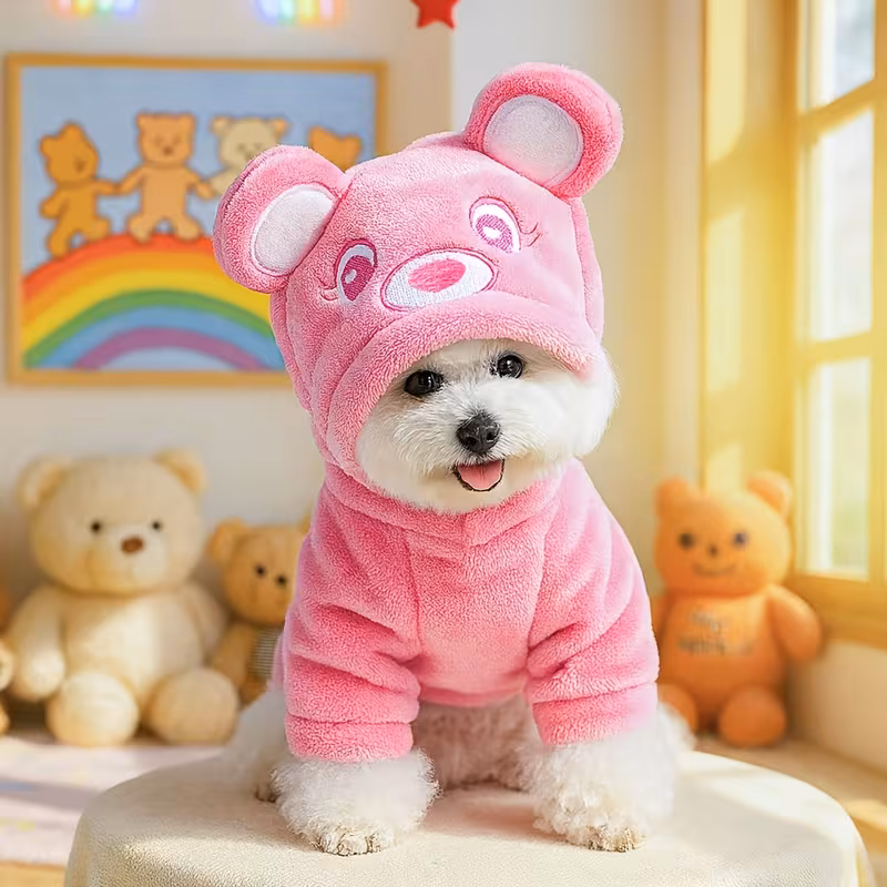 Pet Clothes for Dogs and Cats – Rainbow Bear Transformation Outfit for Autumn and Winter