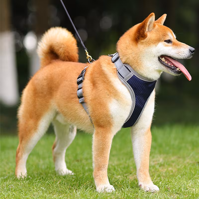 Dog Chest Harness – Vest-Style Pet Reflective Harness for Dog Walking