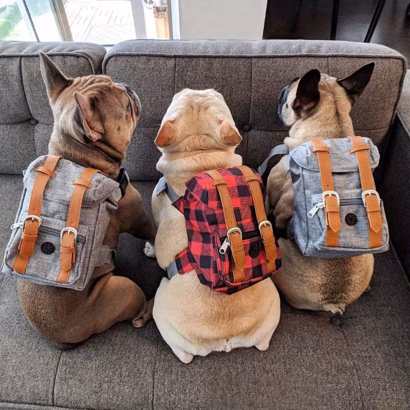 Multifunctional Adjustable Pet Carrier Backpack with Safety Harness – Portable Travel and Daily Use Pet Bag for Small to Medium Dogs