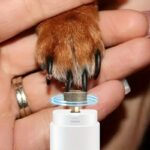 USB Rechargeable Pet Nail Grinder - Image 6
