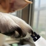 USB Rechargeable Pet Nail Grinder - Image 8