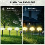 Solar LED Daisy Garden Path Lights - Image 4