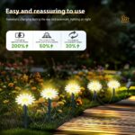Solar LED Daisy Garden Path Lights - Image 13