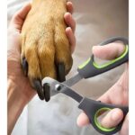 Pet Nail Clipper – Black & Green Stainless Steel - Image 6