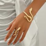 Snake Design Jewelry Set for Women – 2-Piece Gothic Inspired Fashion Accessories